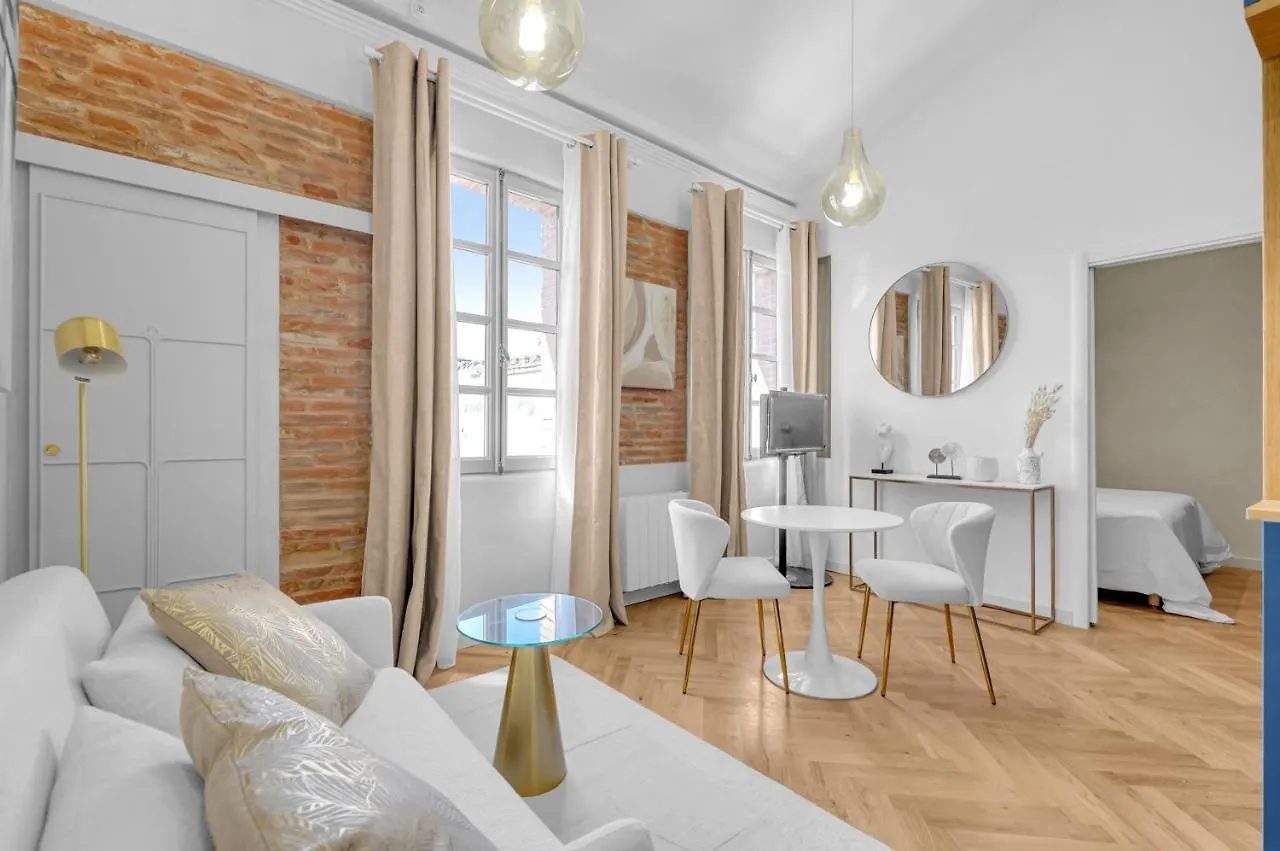 Les Relais Du Capitole - Appartements D'Hotes Toulouse Apartment