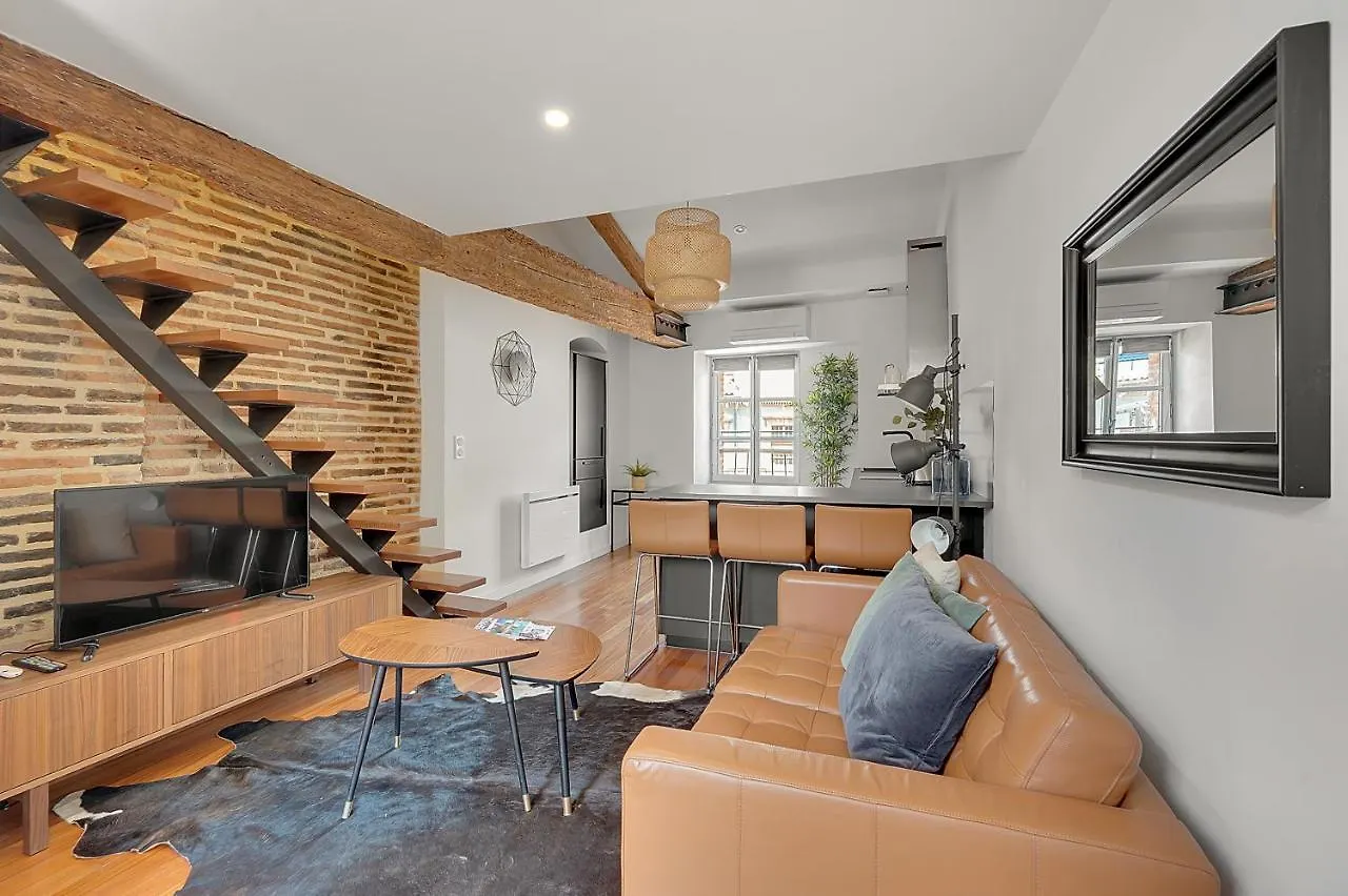 Les Relais Du Capitole - Appartements D'Hotes Toulouse Apartment