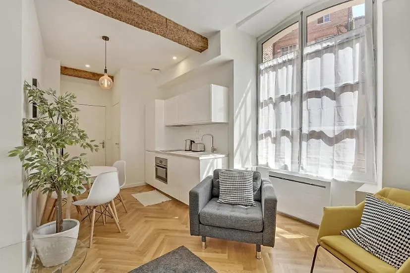 Les Relais Du Capitole - Appartements D'Hotes Toulouse Apartment